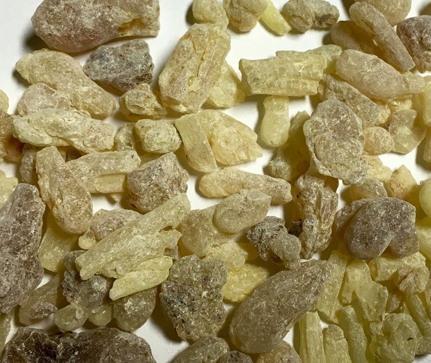 Boswellia carterii resin from Somaliland